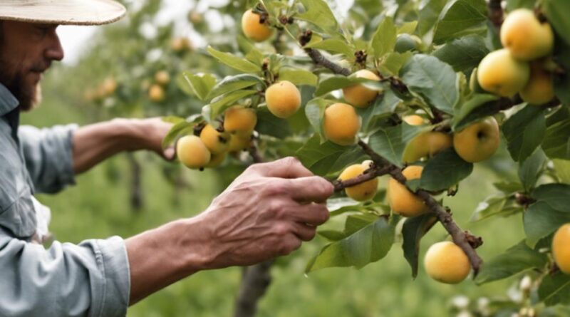 exploring fruit farming techniques